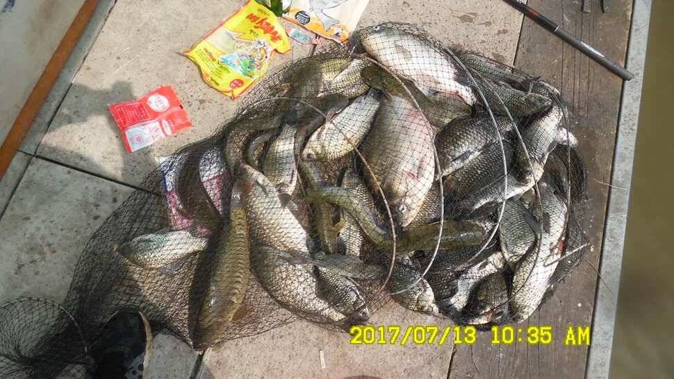 오름수위 반제지 대박 (유료터정보 - 유료터점주조황)
