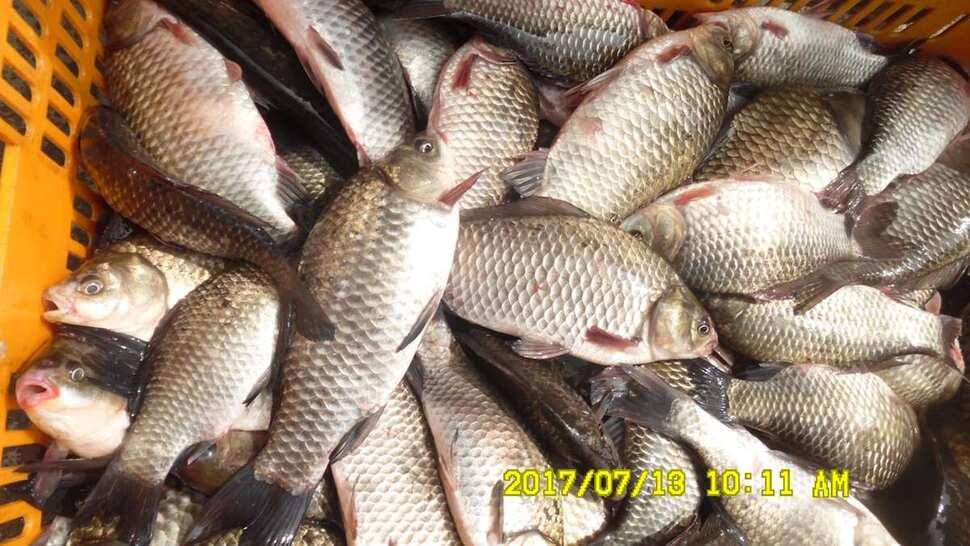 오름수위 반제지 대박 (유료터정보 - 유료터점주조황)