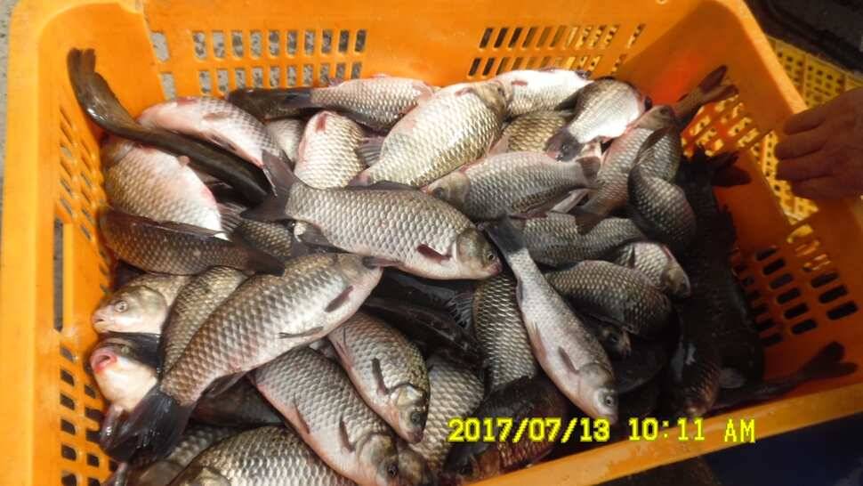 오름수위 반제지 대박 (유료터정보 - 유료터점주조황)