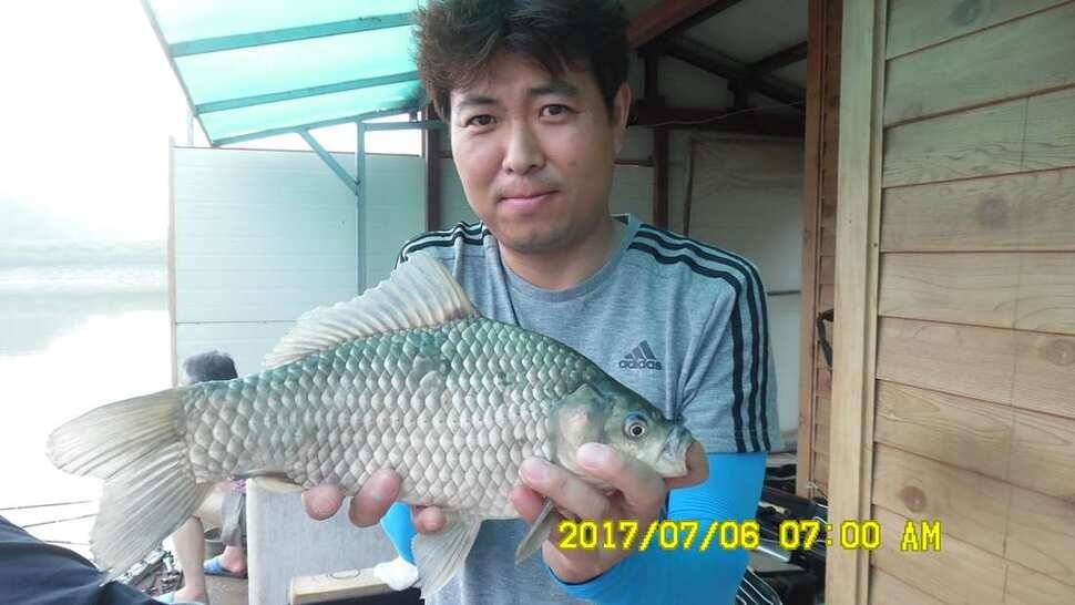 낚시터 안성 반제지 소식 (유료터정보 - 유료터점주조황)
