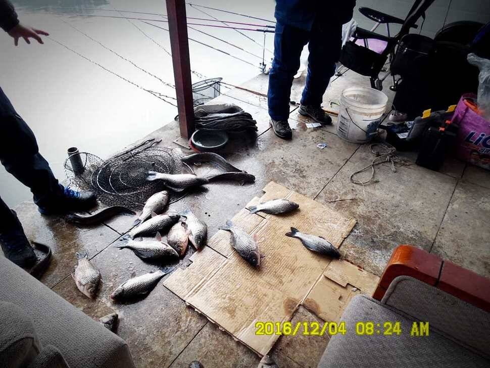 반제지 주말조황정보입니다 (유료터정보 - 유료터점주조황)