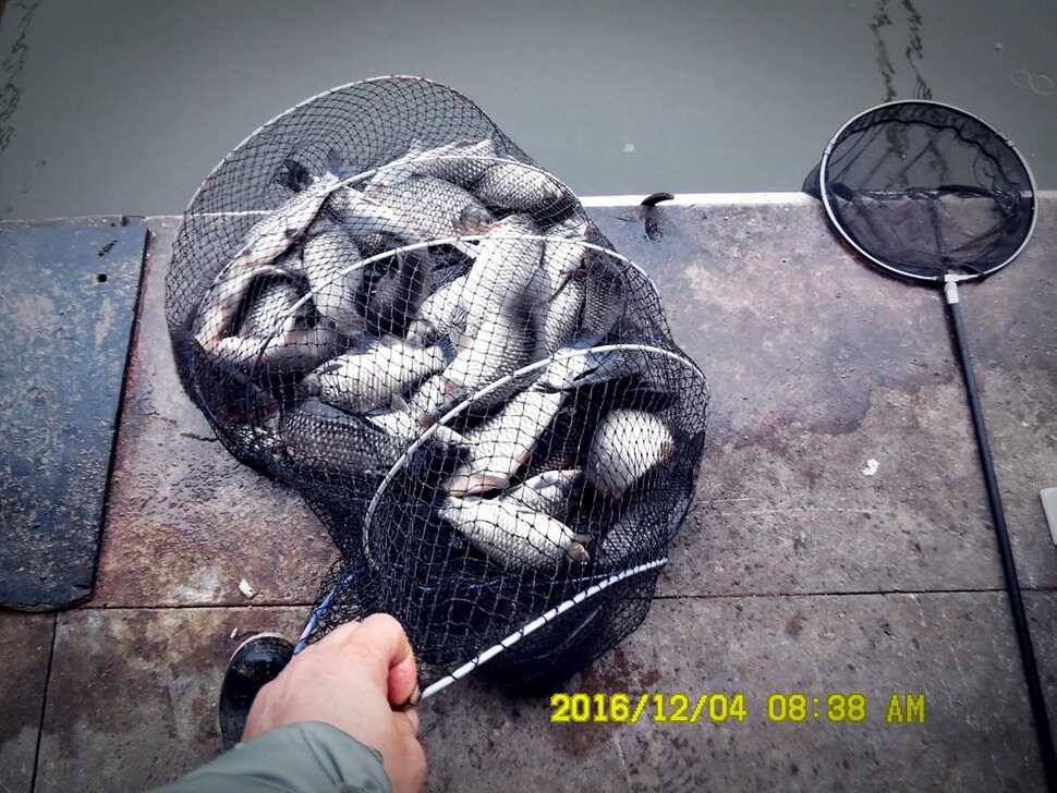 반제지 주말조황정보입니다 (유료터정보 - 유료터점주조황)