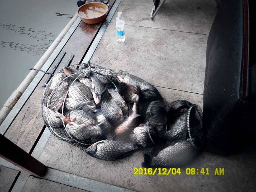 반제지 주말조황정보입니다 (유료터정보 - 유료터점주조황)