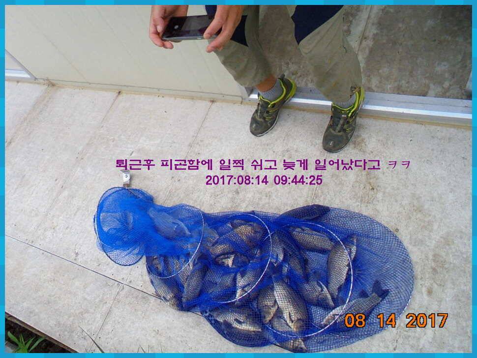 도심속의 작은 쉼터 화성 관리 낚시터입니다관리의 밤은 예술입니다 (유료터정보 - 유료터점주조황)