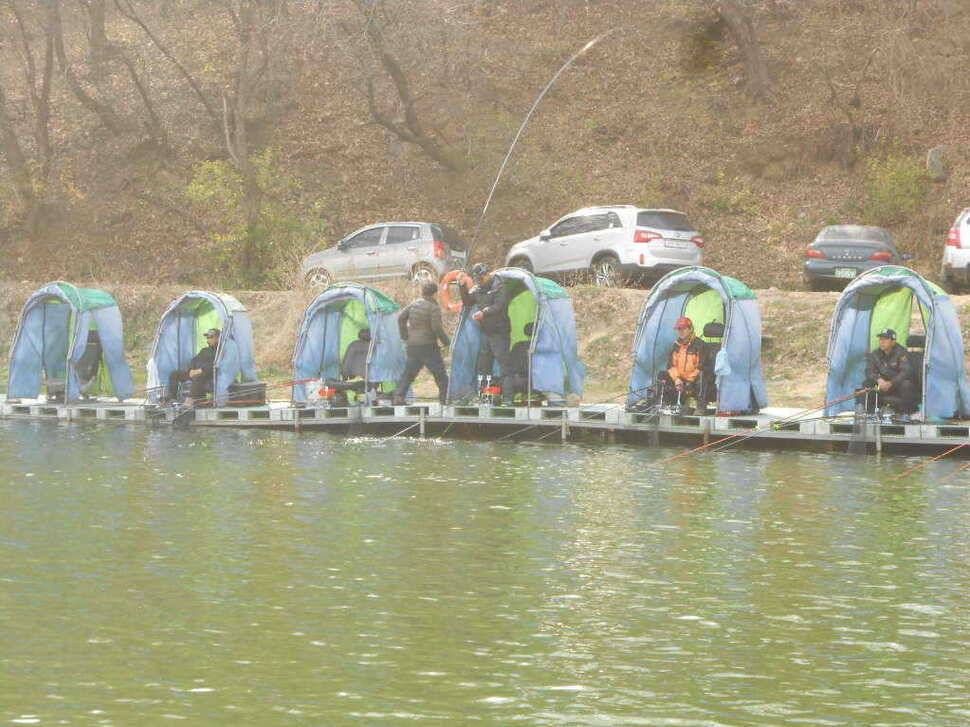 실시간 조황사진 입니다 (유료터정보 - 유료터점주조황)