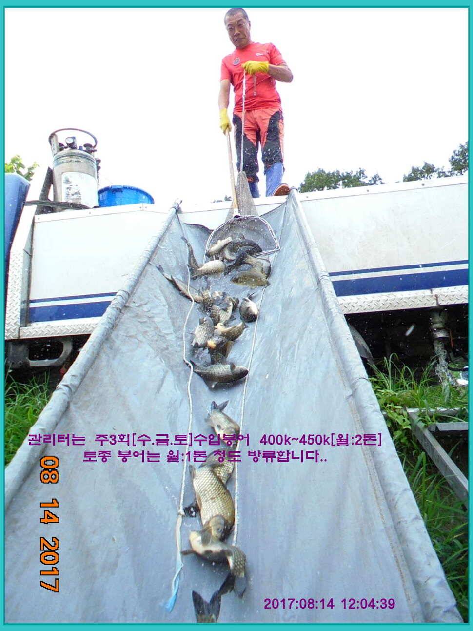 도심속의 작은 쉼터 화성 관리 낚시터입니다관리의 밤은 예술입니다 (유료터정보 - 유료터점주조황)