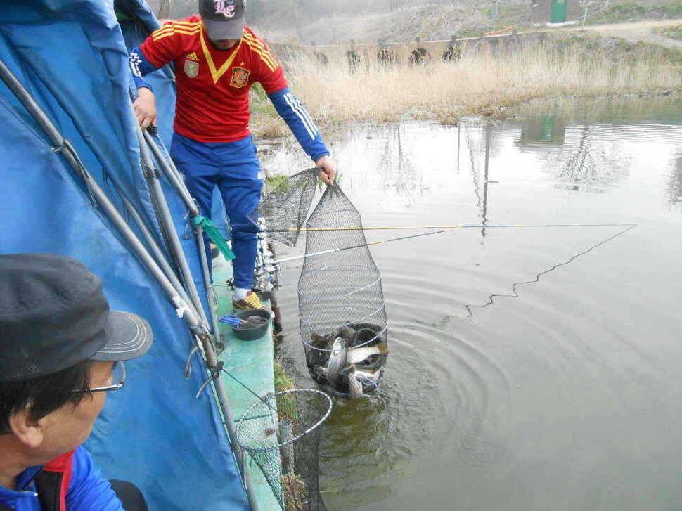실시간 조황사진 입니다 (유료터정보 - 유료터점주조황)