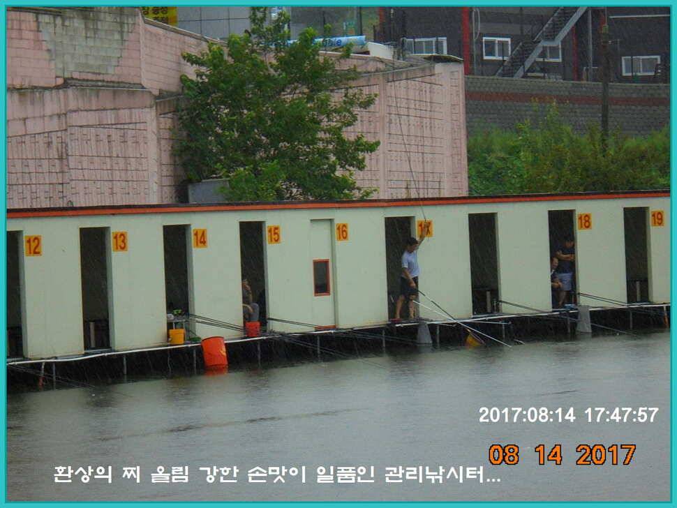 도심속의 작은 쉼터 화성 관리 낚시터입니다관리의 밤은 예술입니다 (유료터정보 - 유료터점주조황)