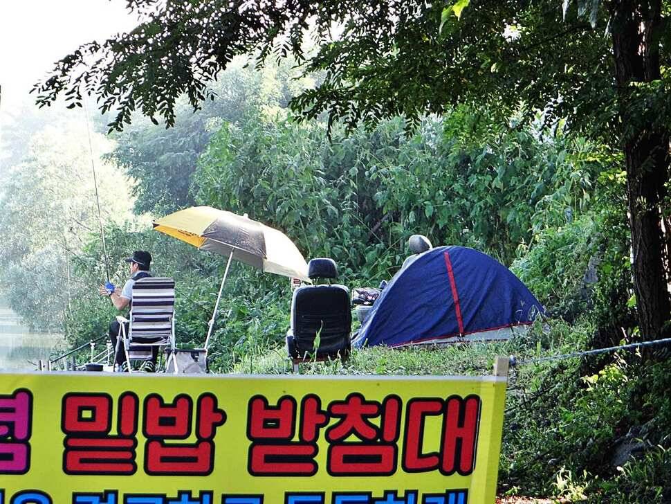 경기도 포천 쌍방죽낚시터 8월 28일 소식 (유료터정보 - 유료터점주조황)