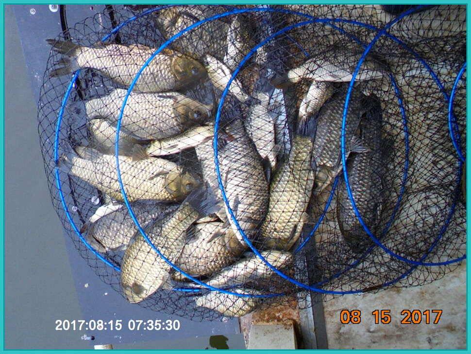 도심속의 작은 쉼터 화성 관리 낚시터입니다관리의 밤은 예술입니다 (유료터정보 - 유료터점주조황)