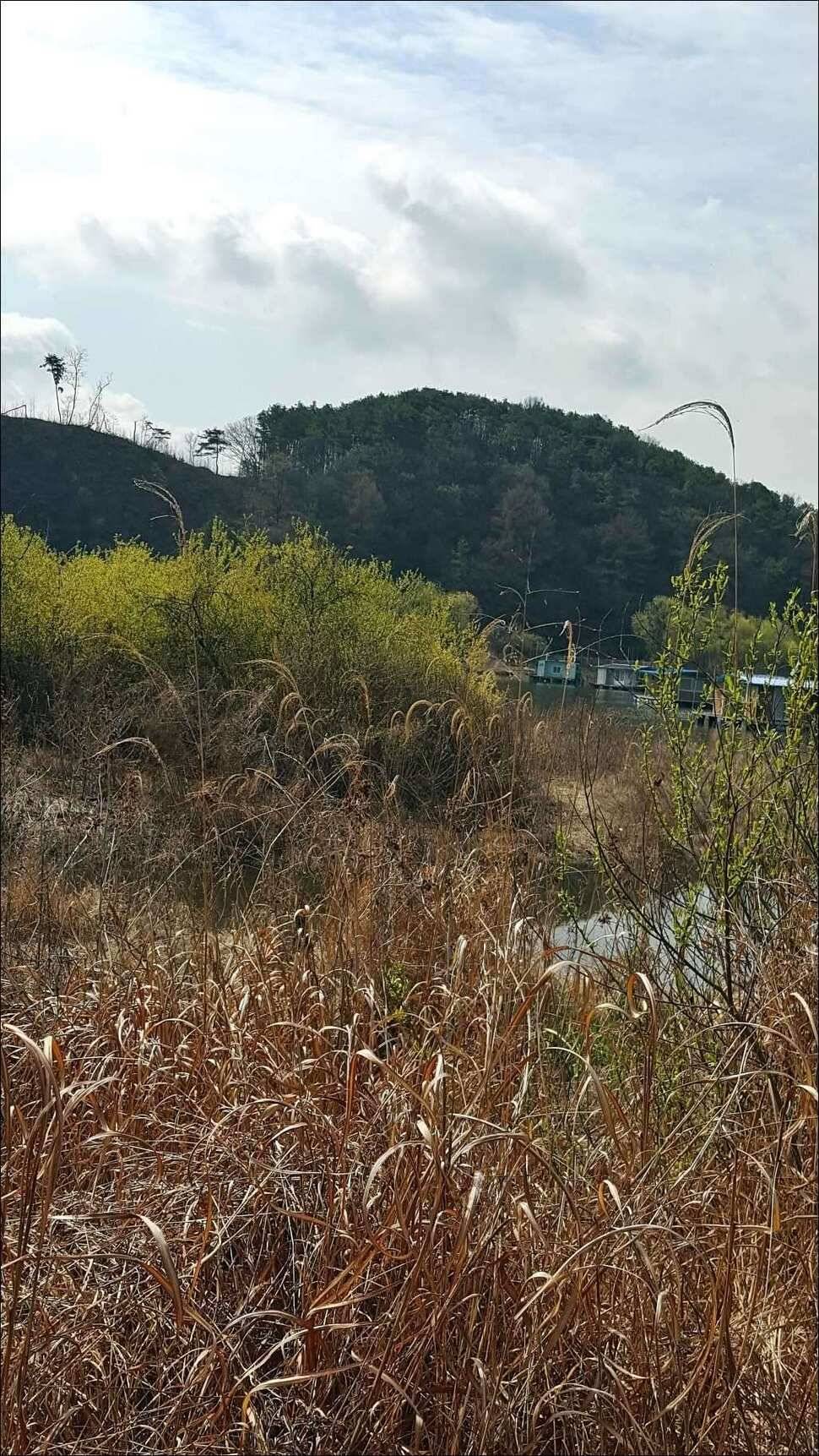 170411 송전지 서울집 조황 (유료터정보 - 유료터점주조황)