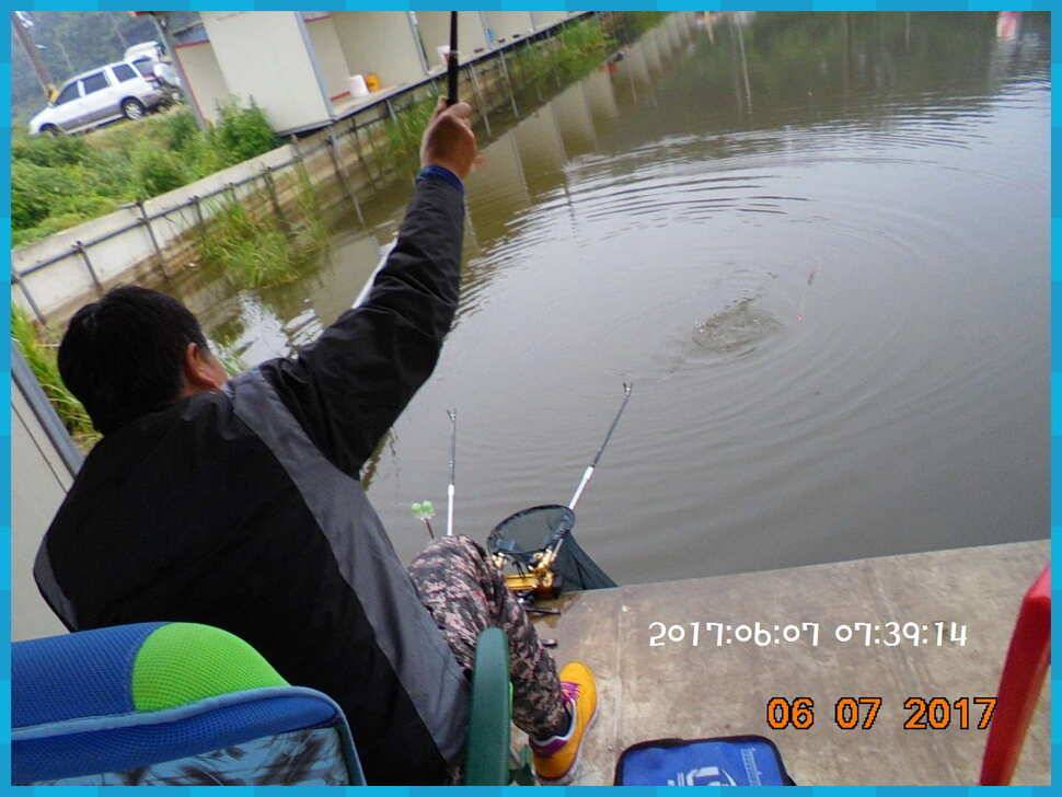 도심속의 작은 쉼터 화성 관리 낚시터입니다 (유료터정보 - 유료터점주조황)