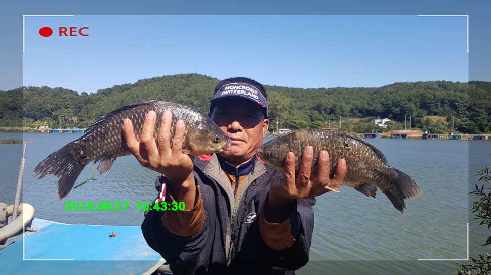 신원낚시터 9월 30일 토종 덩어리 소식입니다 (유료터정보 - 유료터점주조황)
