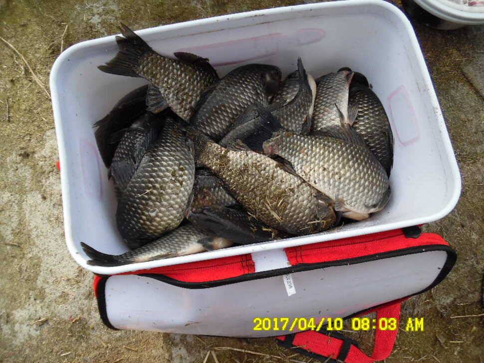 경주동산낚시터 (유료터정보 - 유료터점주조황)