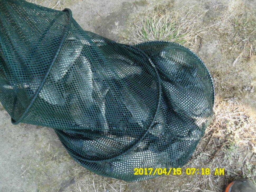 경주동산낚시터 (유료터정보 - 유료터점주조황)