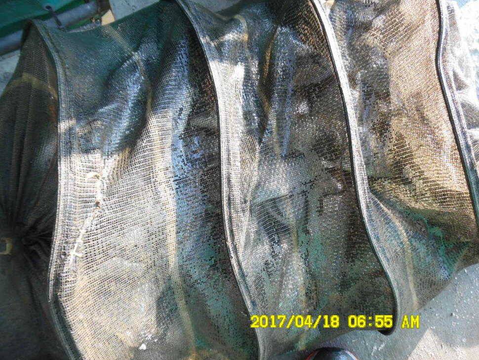 경주동산낚시터 (유료터정보 - 유료터점주조황)