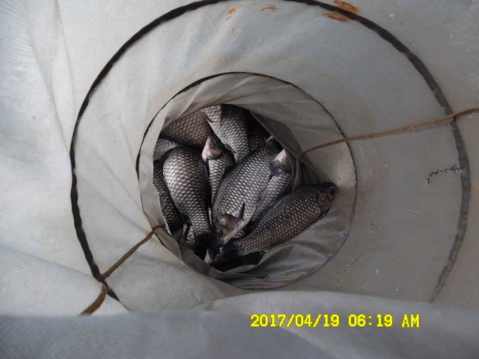 경주동산낚시터 (유료터정보 - 유료터점주조황)