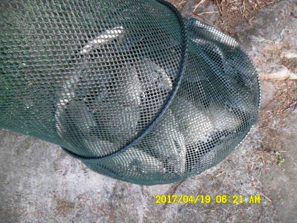 경주동산낚시터 (유료터정보 - 유료터점주조황)