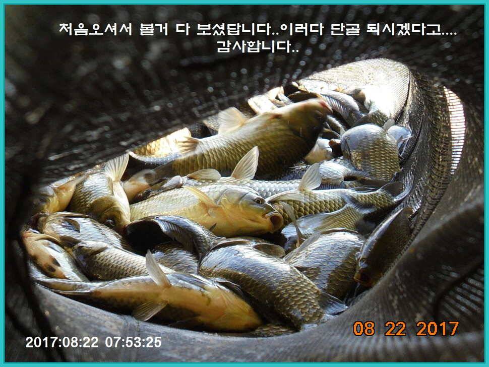 도심속의 작은 쉼터 화성 관리 낚시터입니다밤의 열기속으로 (유료터정보 - 유료터점주조황)