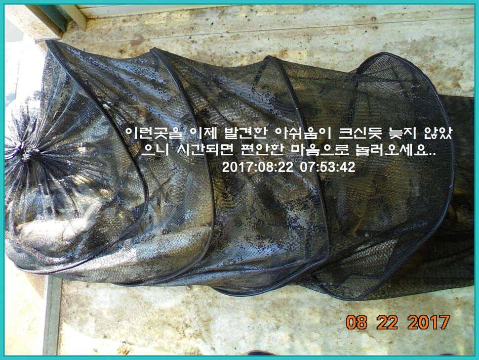 도심속의 작은 쉼터 화성 관리 낚시터입니다밤의 열기속으로 (유료터정보 - 유료터점주조황)