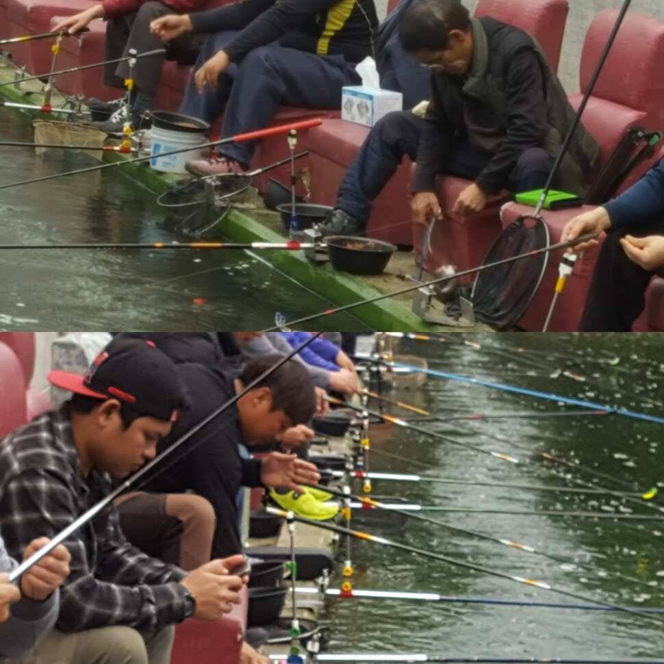 증오 (유료터정보 - 유료터점주조황)