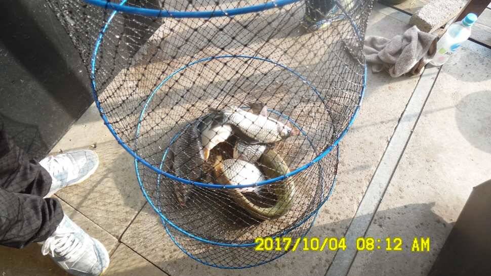 안성시장배전국민물낚시대회 티켓마감임박 10월4일반제지조황 (유료터정보 - 유료터점주조황)