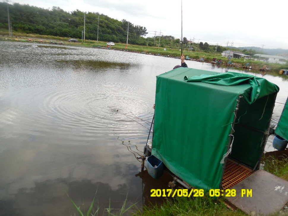 경주 동산낚시터 지난주 조황 (유료터정보 - 유료터점주조황)