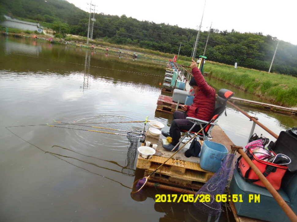 경주 동산낚시터 지난주 조황 (유료터정보 - 유료터점주조황)