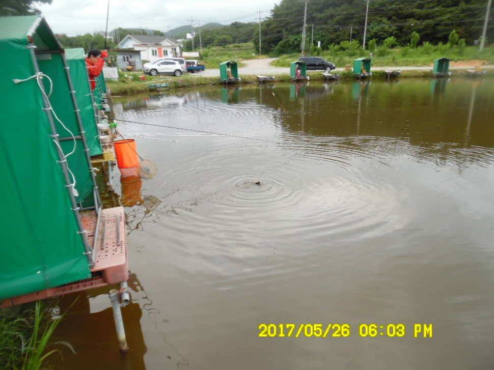 경주 동산낚시터 지난주 조황 (유료터정보 - 유료터점주조황)