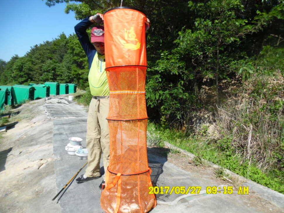 경주 동산낚시터 지난주 조황 (유료터정보 - 유료터점주조황)