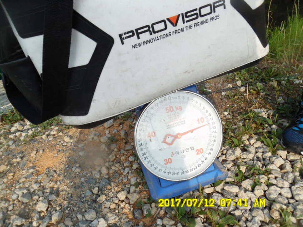 경주동산낚시터 지난주부터 월척급 붕어들이 마리수로 터졌습니다 (유료터정보 - 유료터점주조황)