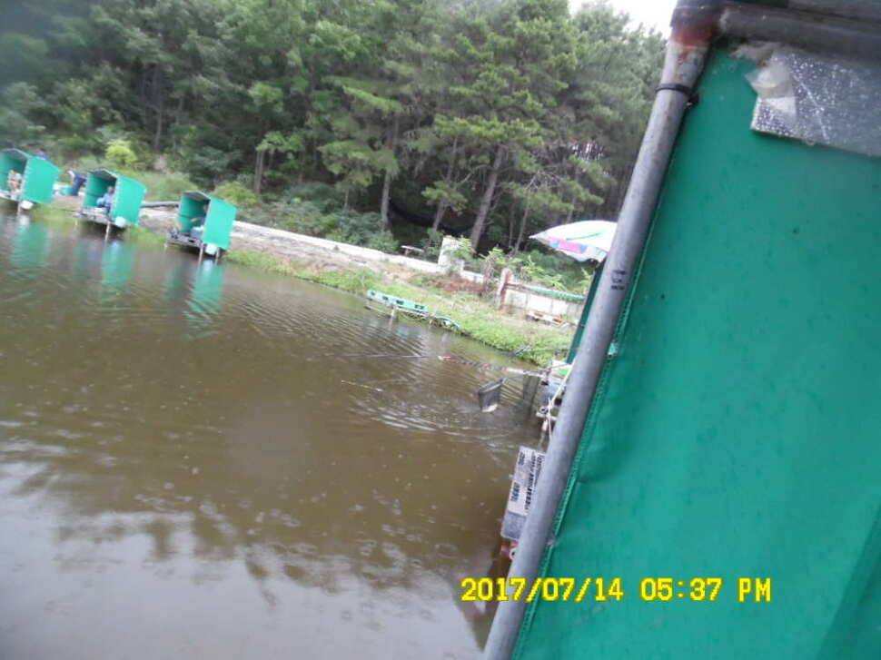 경주동산낚시터 지난주부터 월척급 붕어들이 마리수로 터졌습니다 (유료터정보 - 유료터점주조황)