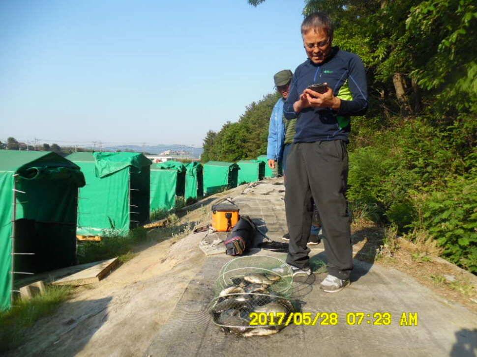 경주 동산낚시터 지난주 조황 (유료터정보 - 유료터점주조황)