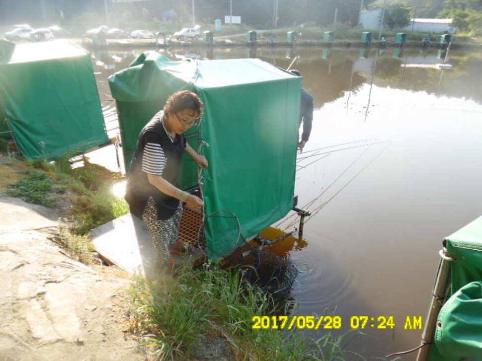 경주 동산낚시터 지난주 조황 (유료터정보 - 유료터점주조황)