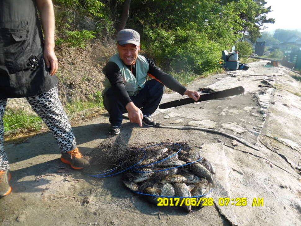 경주 동산낚시터 지난주 조황 (유료터정보 - 유료터점주조황)
