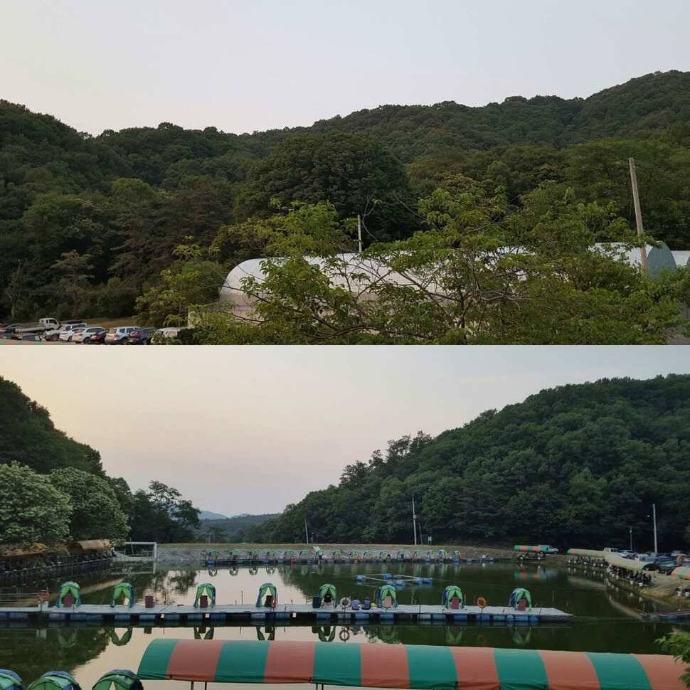 노파심 (유료터정보 - 유료터점주조황)