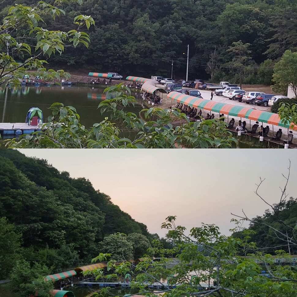 노파심 (유료터정보 - 유료터점주조황)