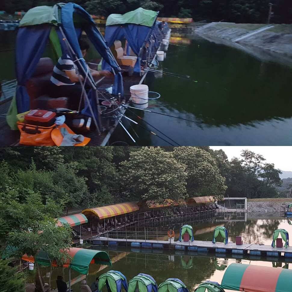 노파심 (유료터정보 - 유료터점주조황)