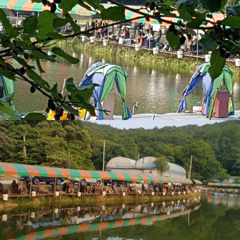 노파심 (유료터정보 - 유료터점주조황)