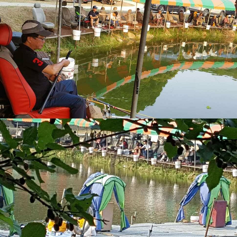 노파심 (유료터정보 - 유료터점주조황)