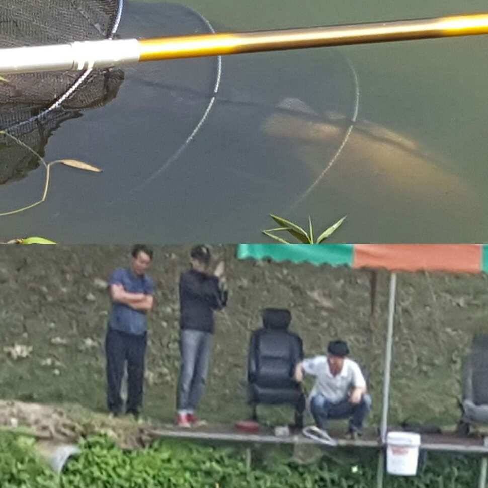 노파심 (유료터정보 - 유료터점주조황)