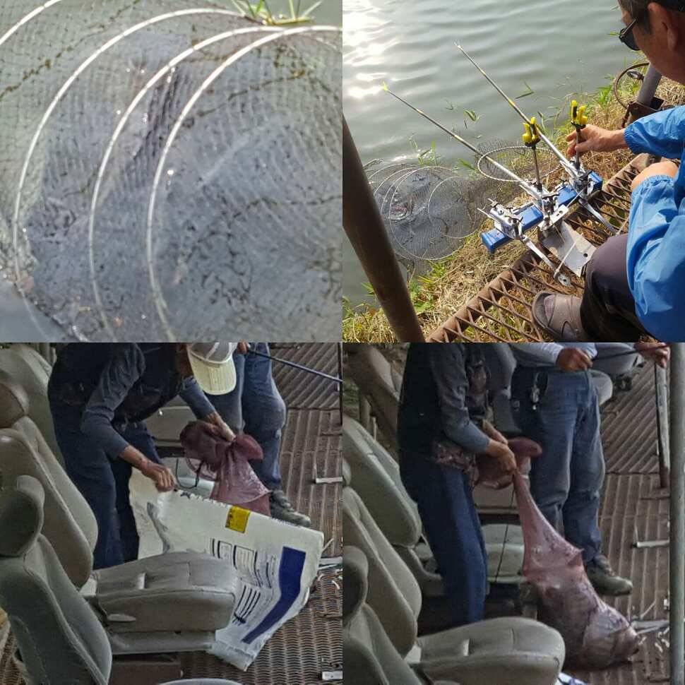 노파심 (유료터정보 - 유료터점주조황)
