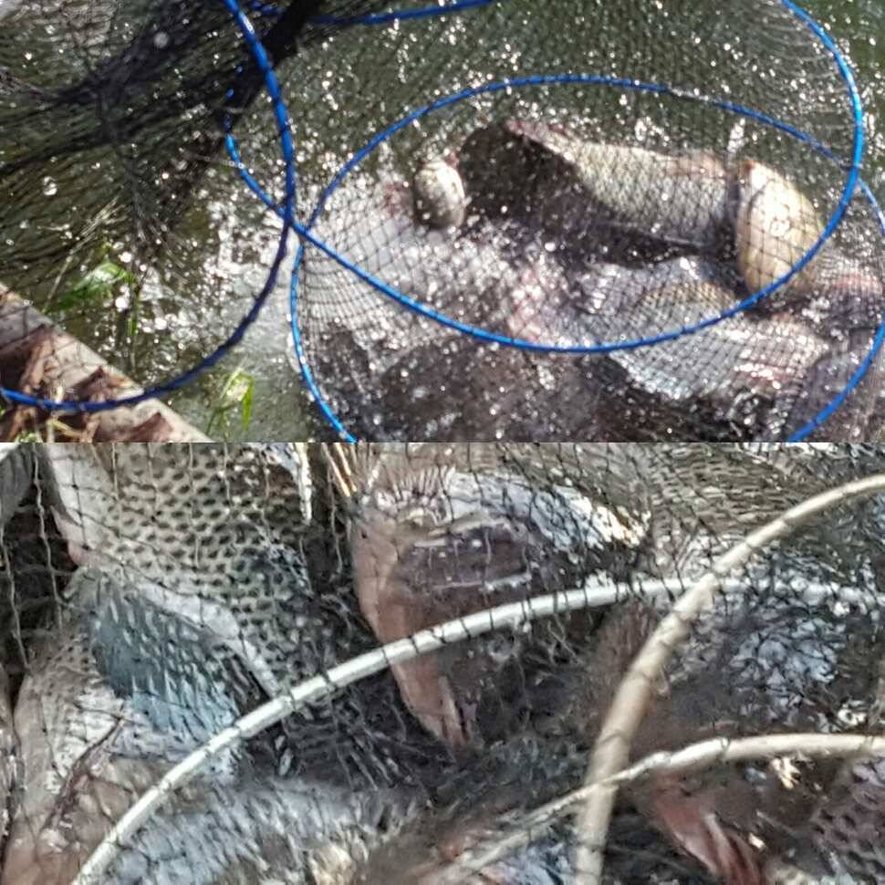 노파심 (유료터정보 - 유료터점주조황)