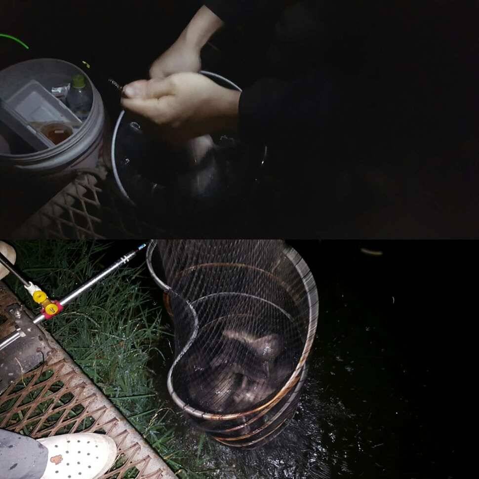노파심 (유료터정보 - 유료터점주조황)