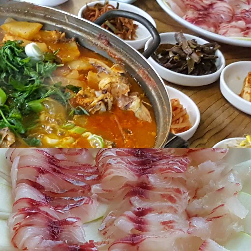 증오 (유료터정보 - 유료터점주조황)