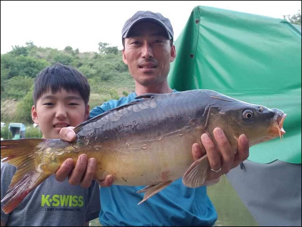 6월17일토조황정보 (유료터정보 - 유료터점주조황)
