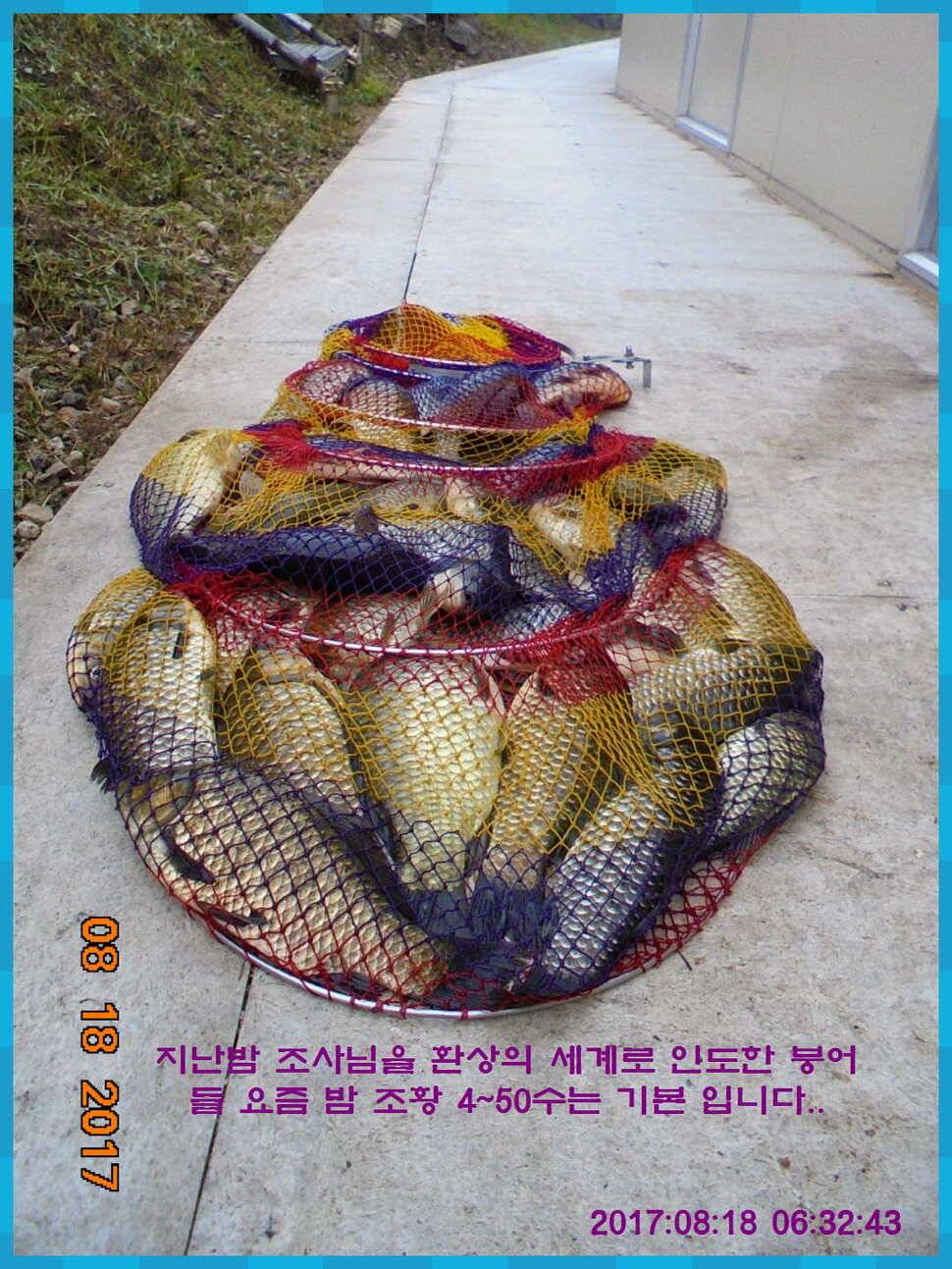 도심속의 작은 쉼터 화성 관리 낚시터입니다대단한 밤의 연속입니다 (유료터정보 - 유료터점주조황)