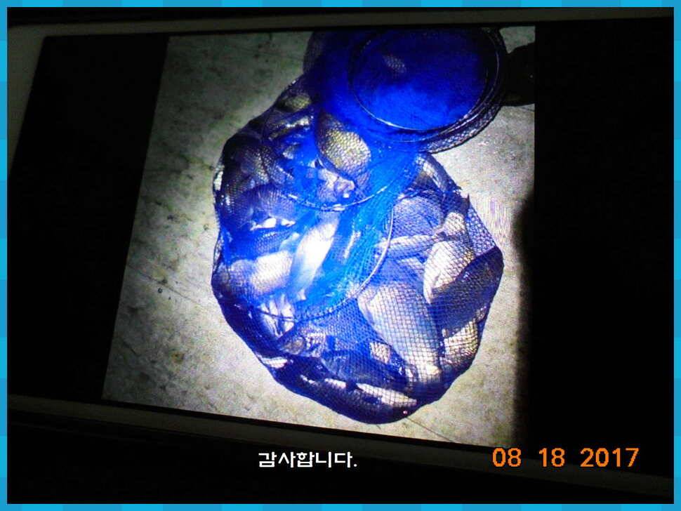 도심속의 작은 쉼터 화성 관리 낚시터입니다대단한 밤의 연속입니다 (유료터정보 - 유료터점주조황)