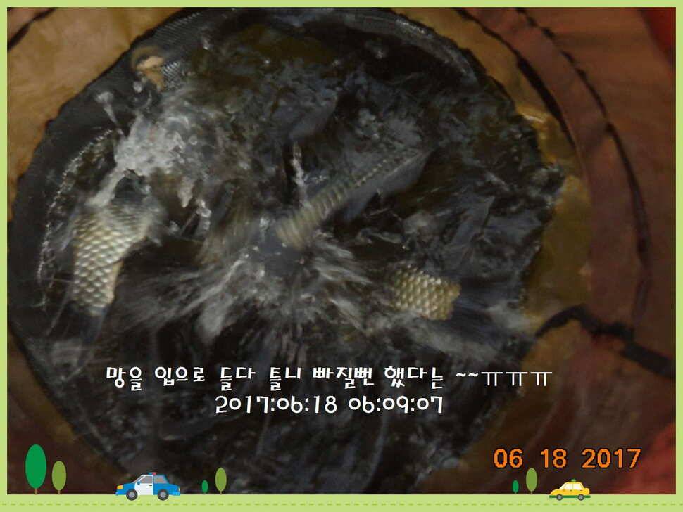 도심속의 작은 쉼터 화성 관리 낚시터입니다 (유료터정보 - 유료터점주조황)