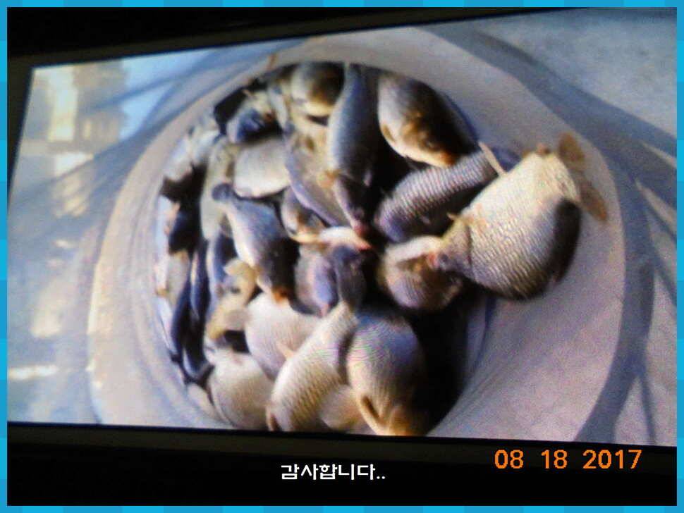 도심속의 작은 쉼터 화성 관리 낚시터입니다대단한 밤의 연속입니다 (유료터정보 - 유료터점주조황)